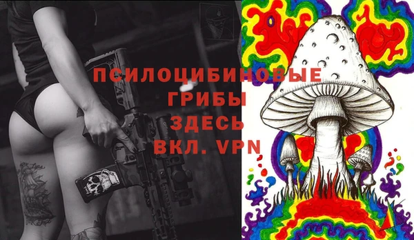прущая мука Саяногорск