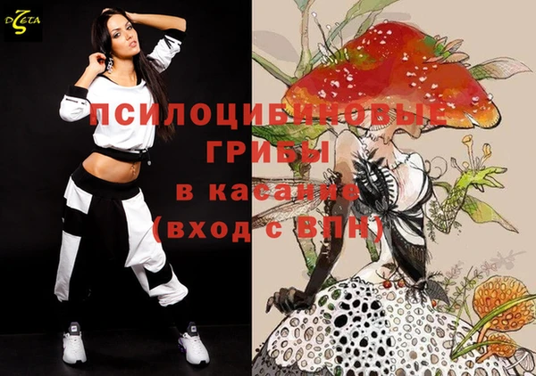 spice Абинск
