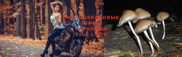 spice Абинск